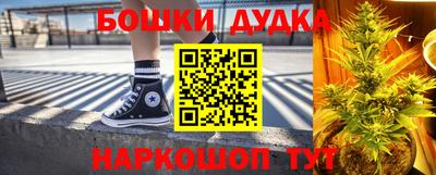 молекула духа Новозыбков