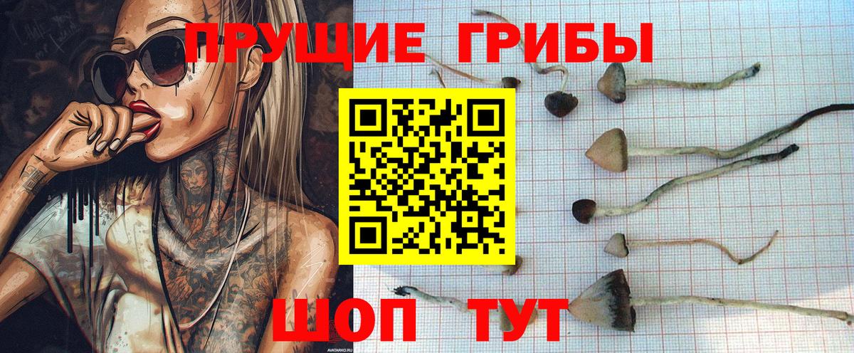 Галлюциногенные грибы ЛСД Североуральск