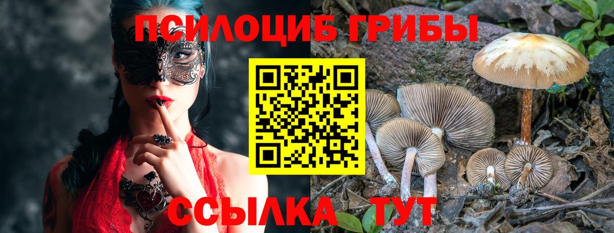 Псилоцибиновые грибы Cubensis  даркнет сайт  Североуральск  Вход с VPN  Галлюциногенные грибы прущие грибы 